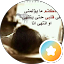 أبويزن الجهني المرواني (الجهني المرواني)